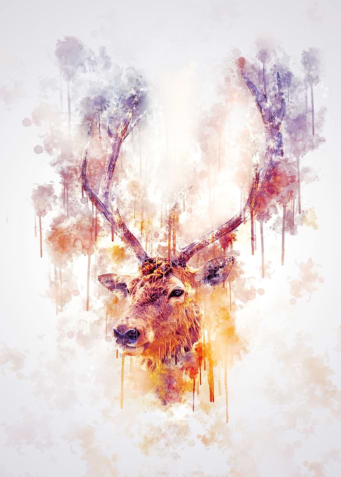 Elk Head