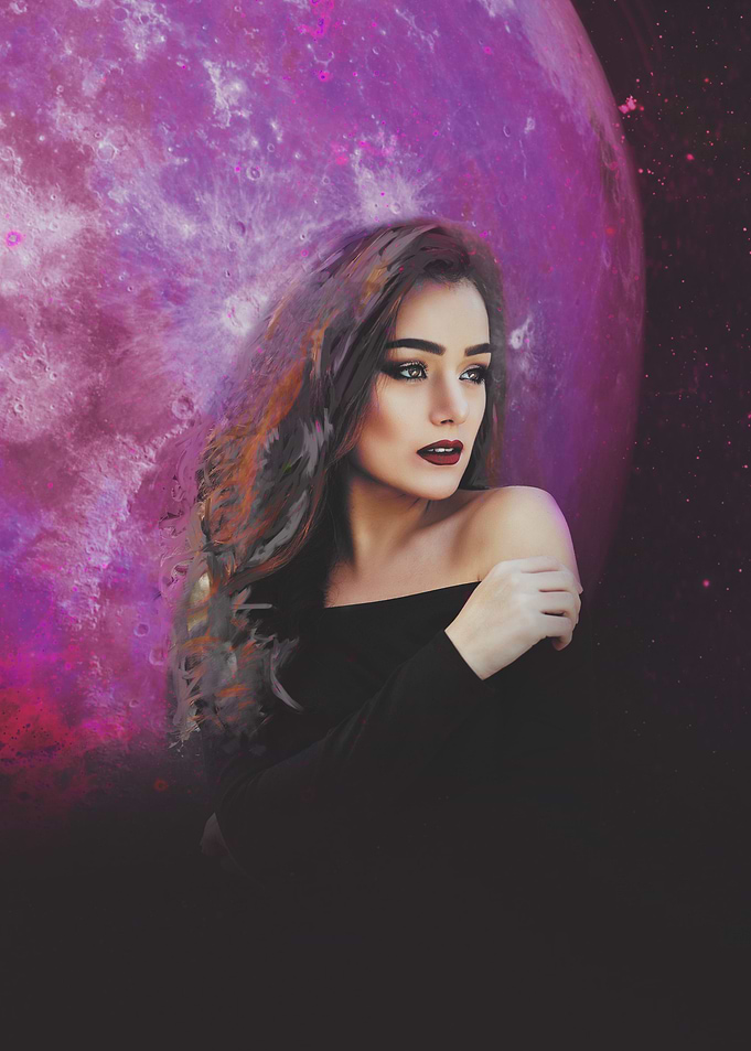 Rose in the blackness