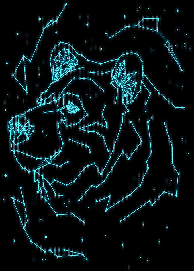 Bear Stars Sign