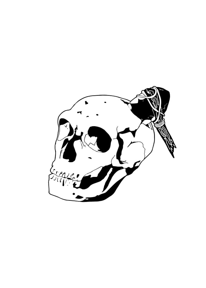 Neanderthal Skull