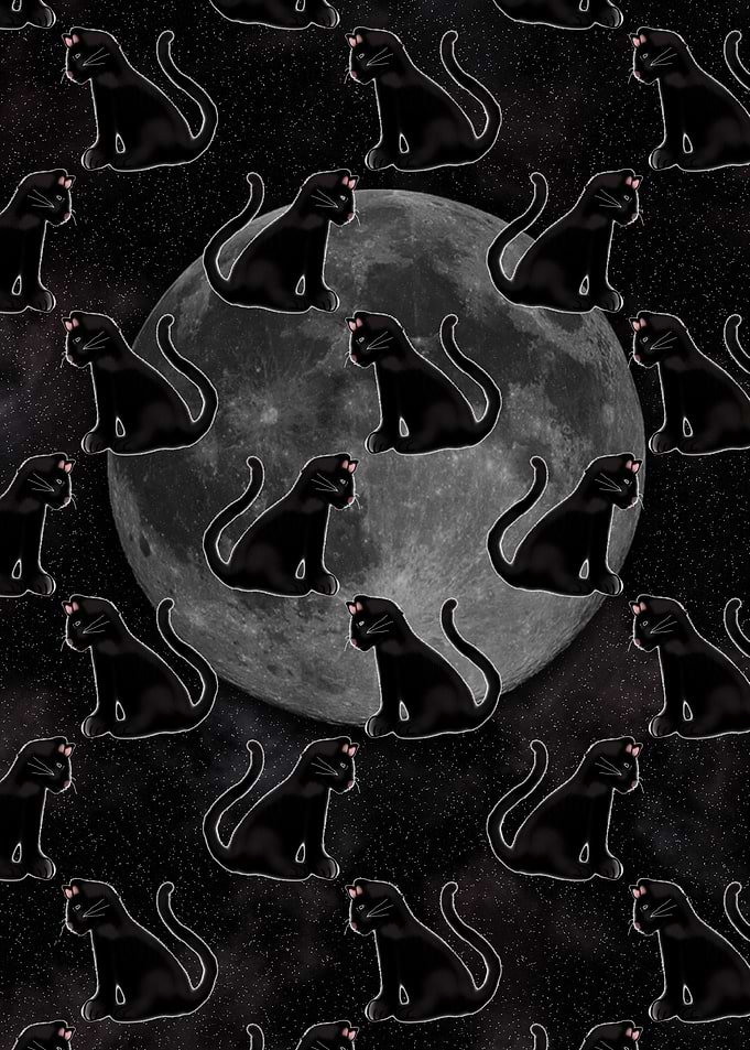 Black Cats Full Moon
