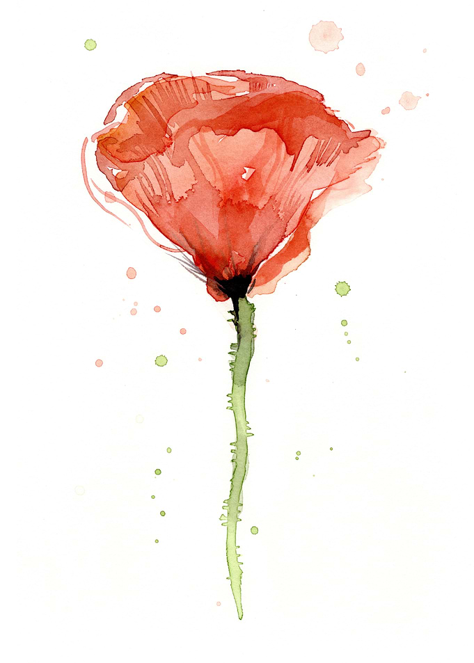 Poppy Flower Painting