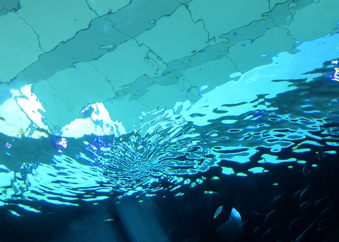 Underwater Landscape