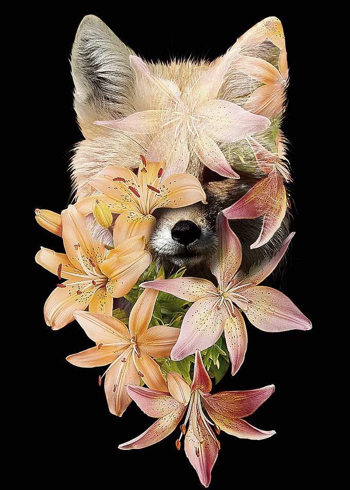 Foxy Flowers