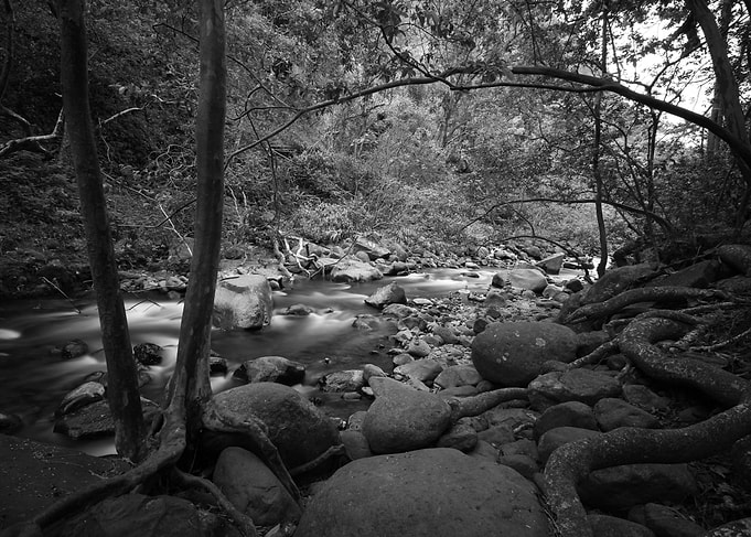 A Gentle River