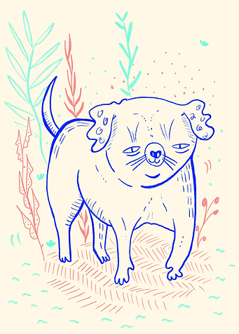 dog