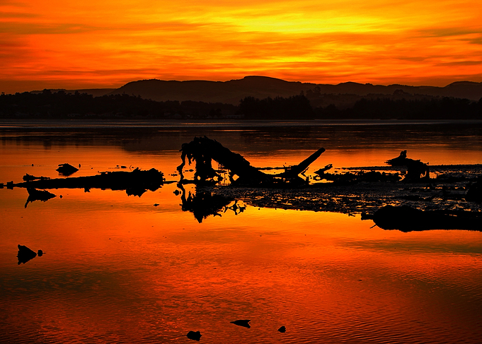 Bay of Plenty Sunset