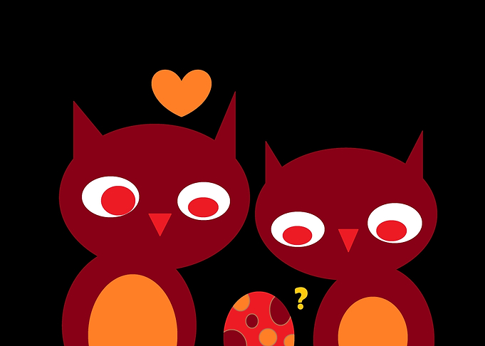 Catowls Waiting