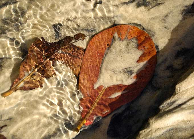 Leafage2
