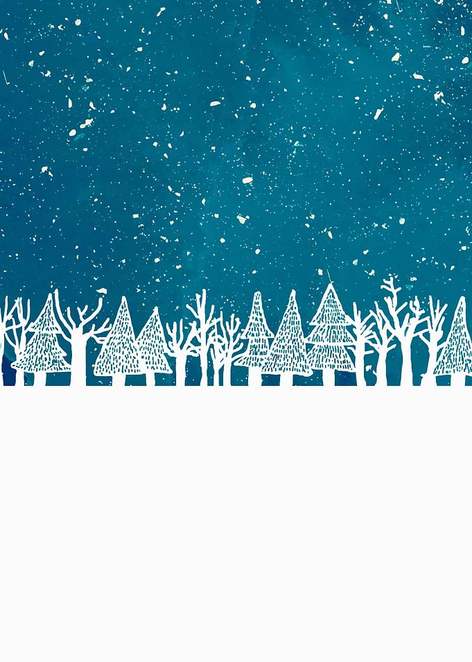 Winter woods