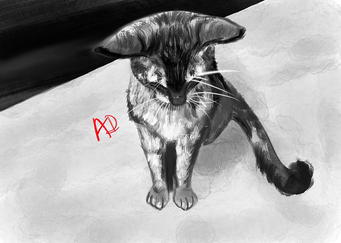 Meow Meows
