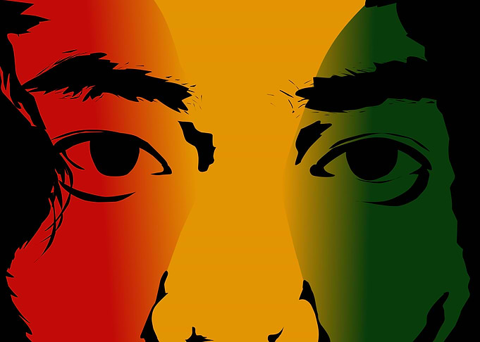 face style