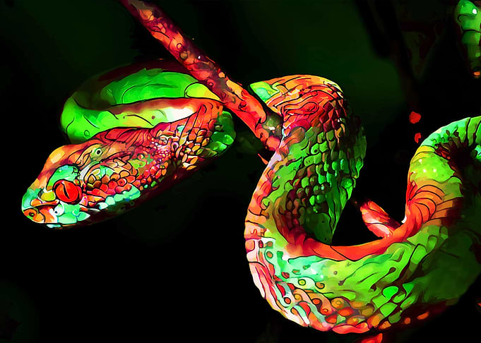 Snake and stick