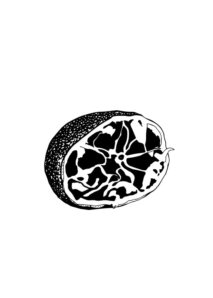 Squeezed Lemon