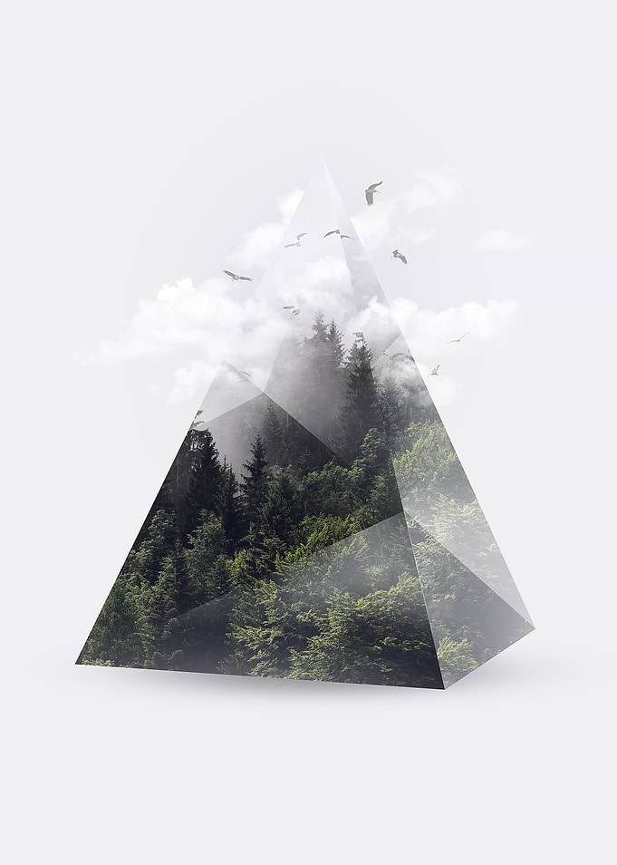 Forest triangle