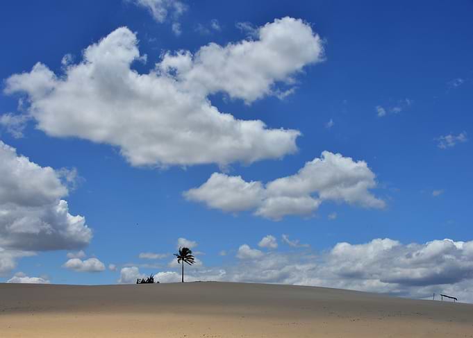 Landscape2