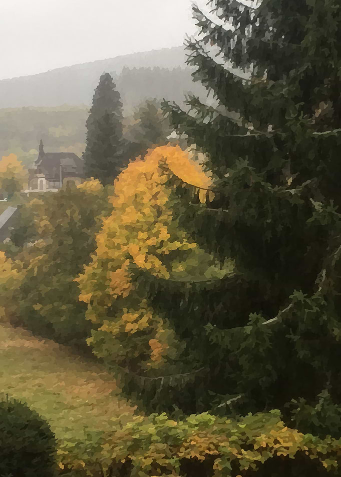 Autum in the Black Forest