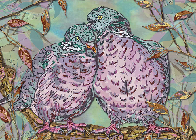 Loving Woodpigeons