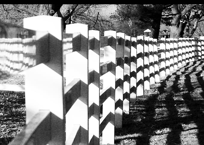 Afternoon shadows