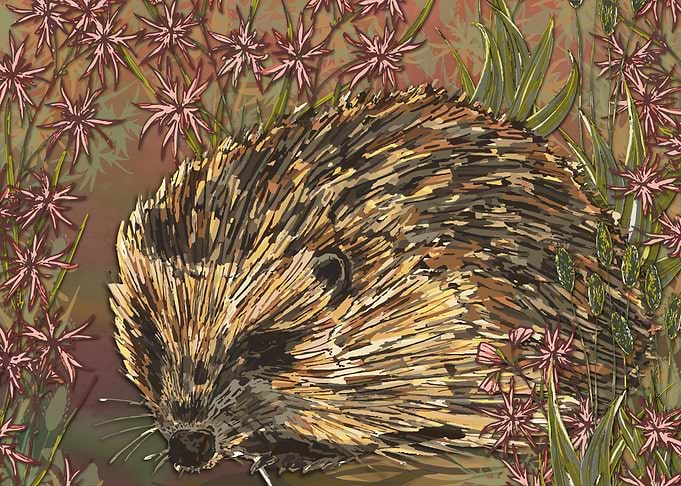 Sweet Hedgehog