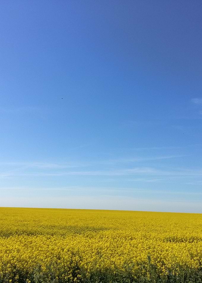 Fields
