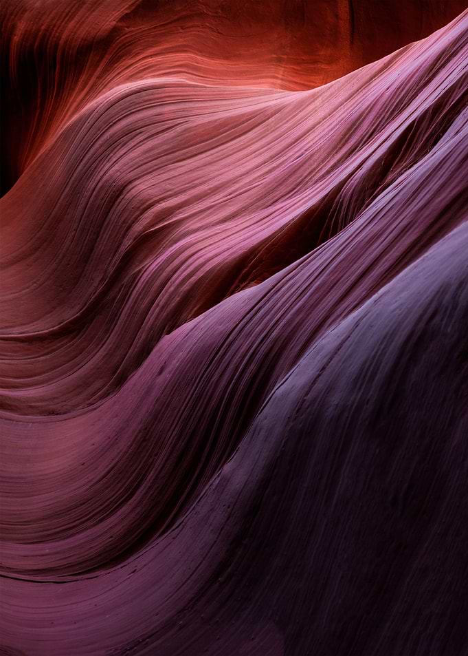 Antelope