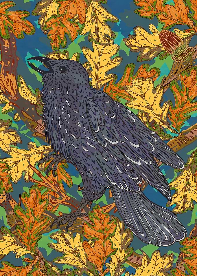 Raven and Oak