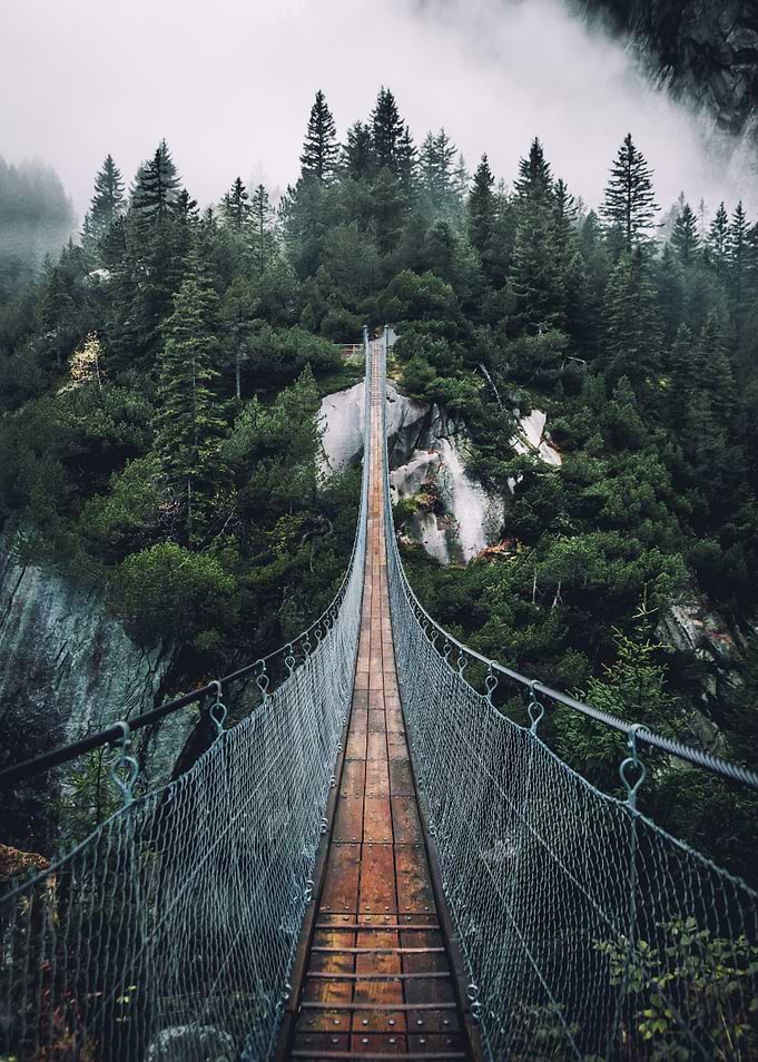 Bridge