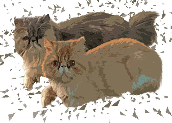 Two Cat Desain 002