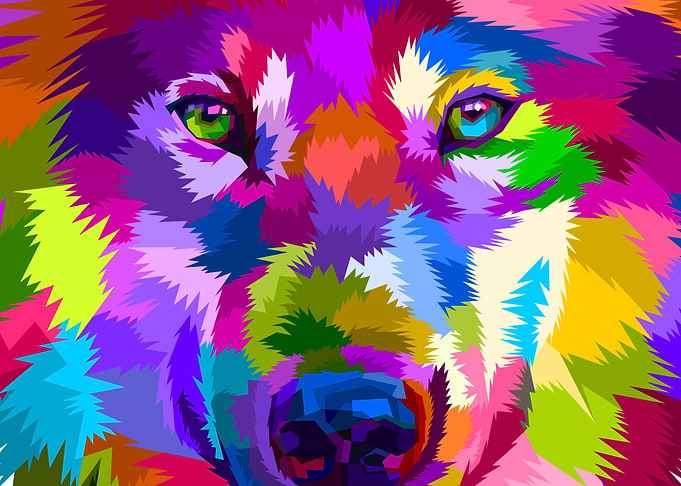 close up of face wolf
