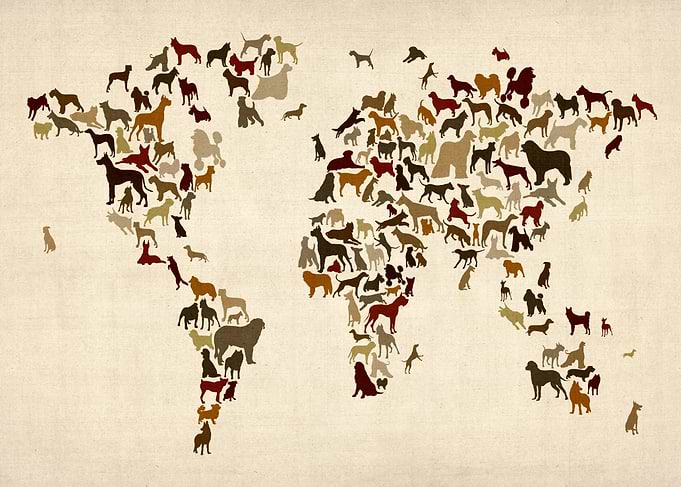 Dogs World Map