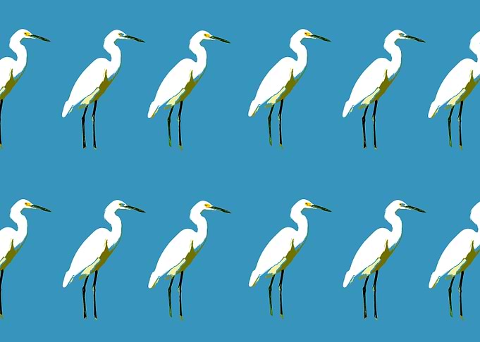 Pop egrets