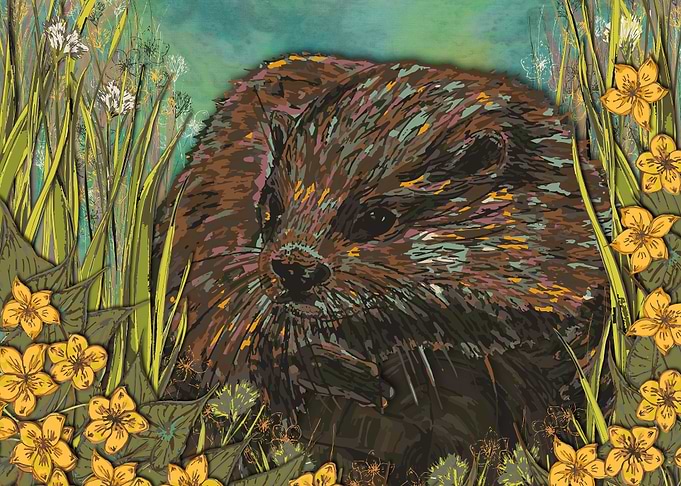Otter