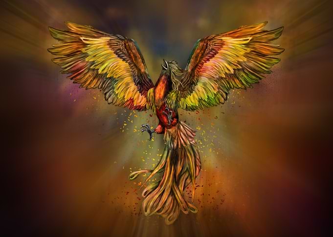 Phoenix Rising