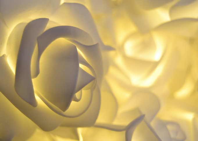 Rosaluce