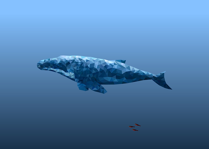 Low Poly Whale