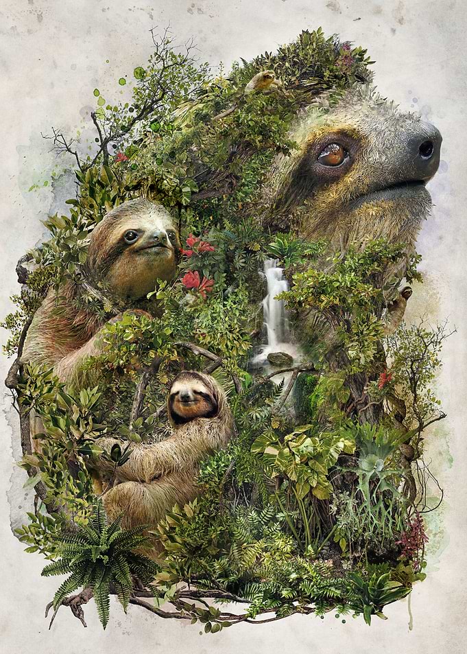 Sloth