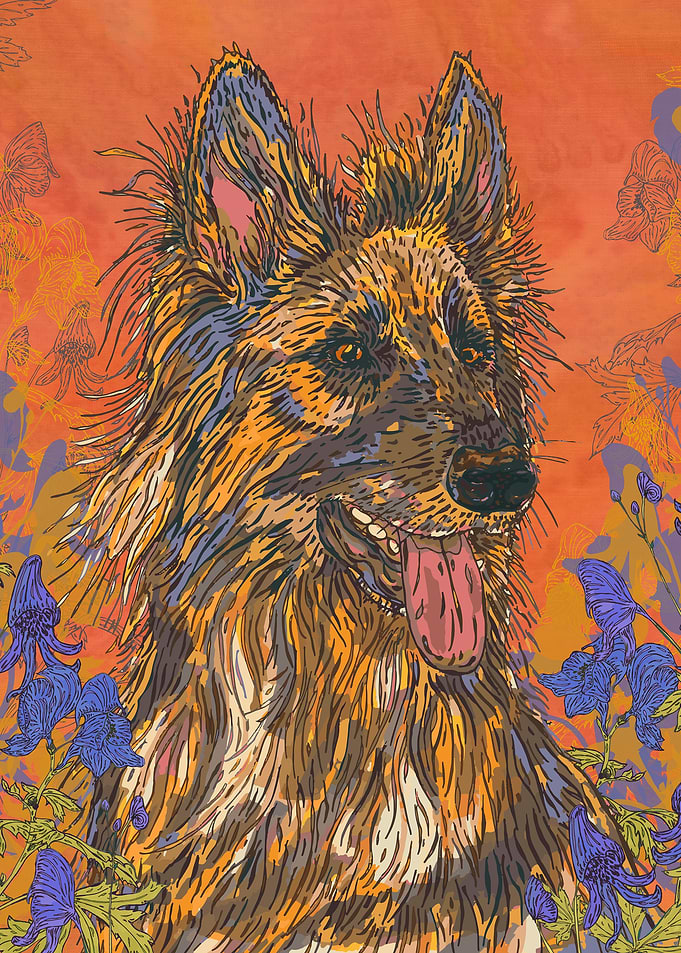 German Shepherd Dog