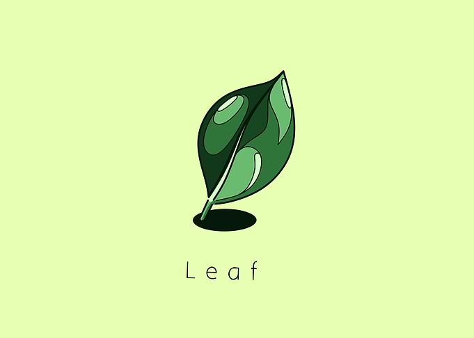 Leaf