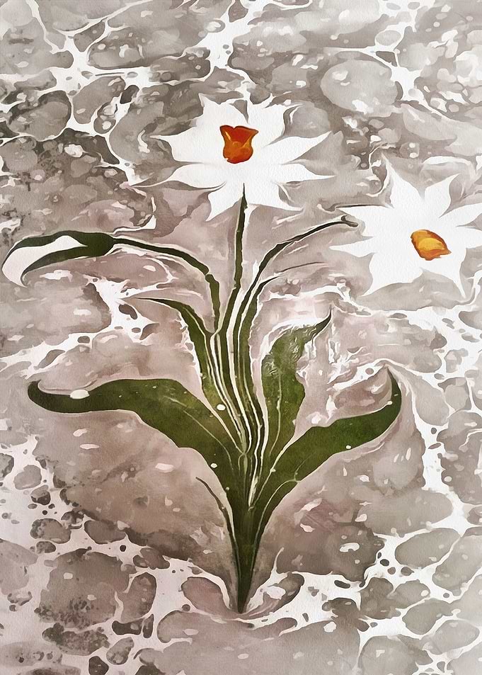 Narcissus On Marble