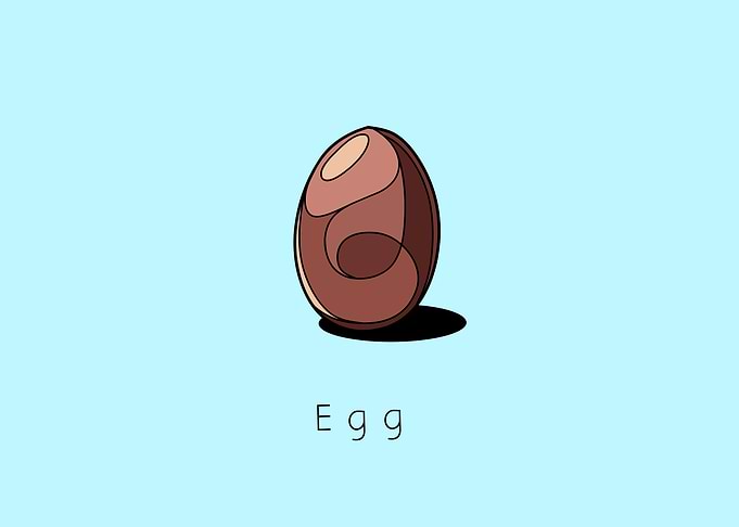 Egg