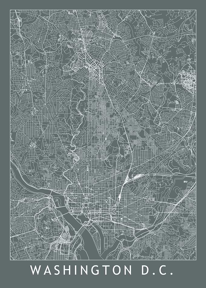 Washington Grey Map