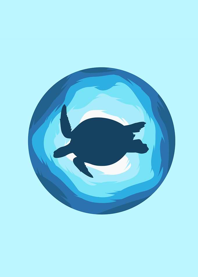 Turtle Illustration