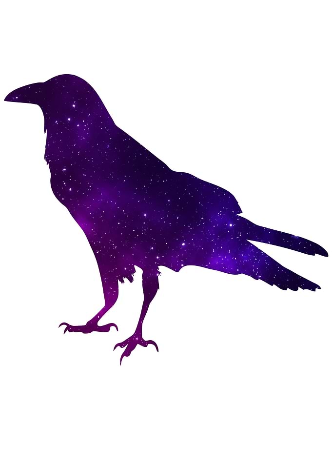 Space Raven
