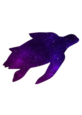 Space Sea Turtle
