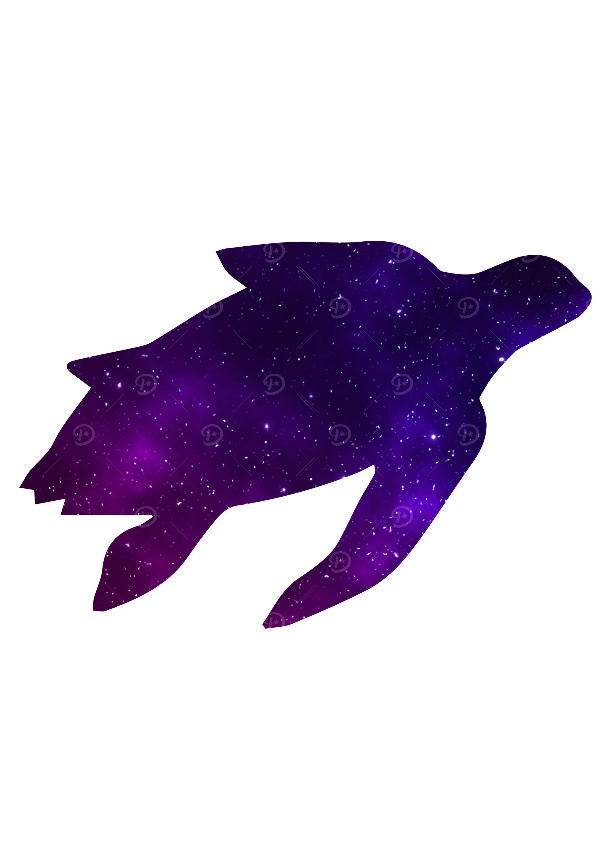 Space Sea Turtle