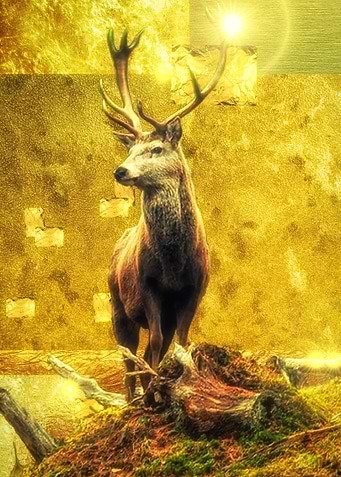 Majestic