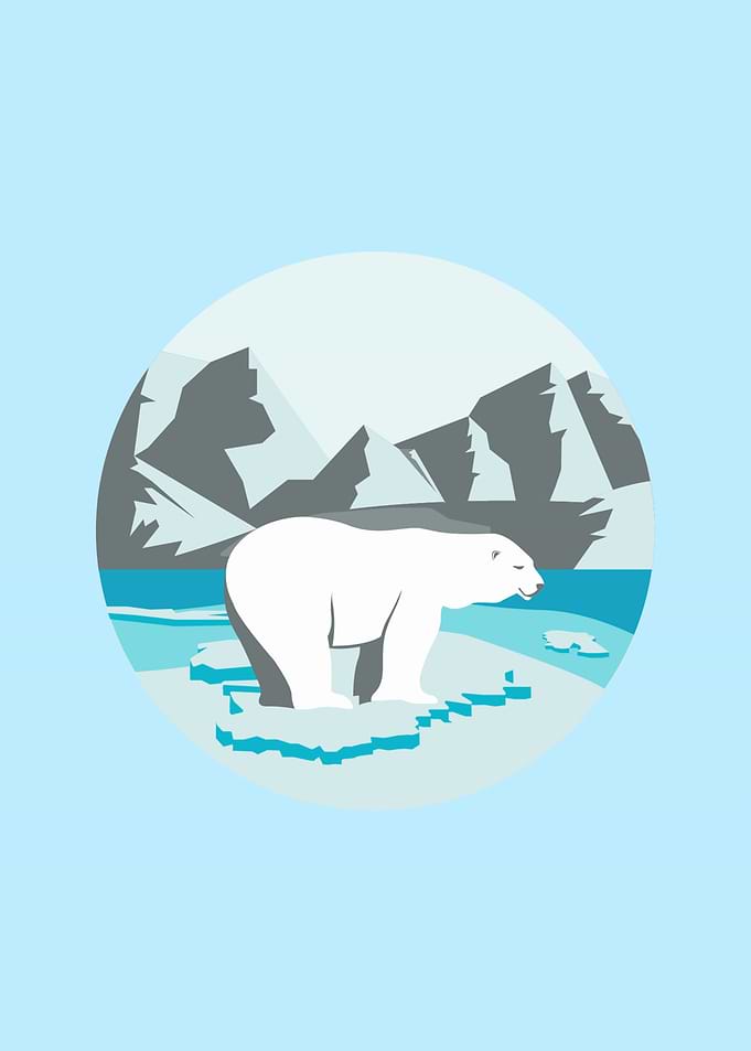 Polar Bear Illustration