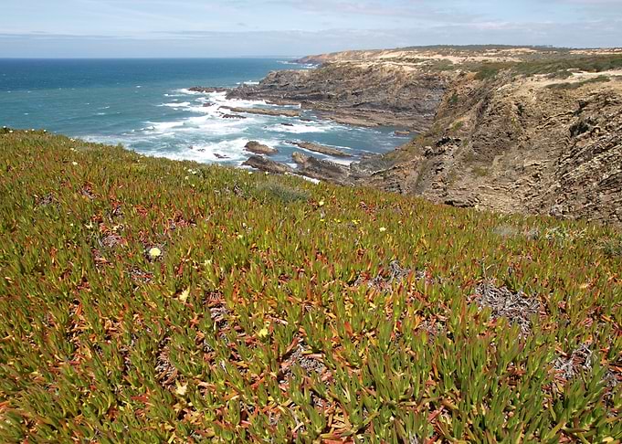 West Algarve Nature