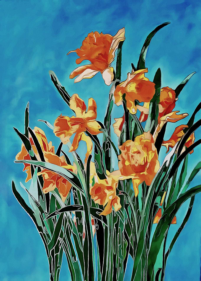 Blooming Golden Daffodils